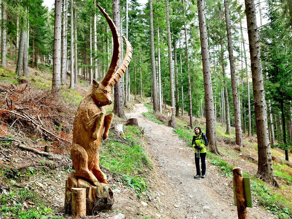 Ein Steinbock aus Holz beim Holzskulpturenweg der Familie Haider auf der Nechnitz.