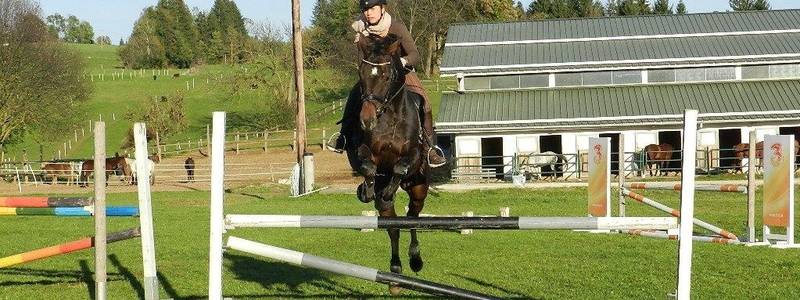 Horse court Mandl