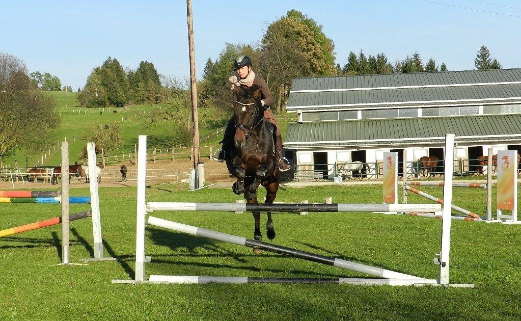Reitstall Mandl