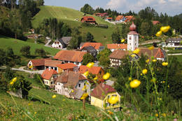 Wanderweg um Koglhof in der Gemeinde Birkfeld
