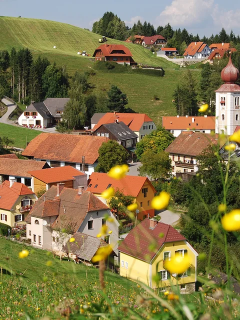 Waldlehrpfad Koglhof