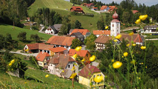 Waldlehrpfad Koglhof / Wanderung / Steiermark