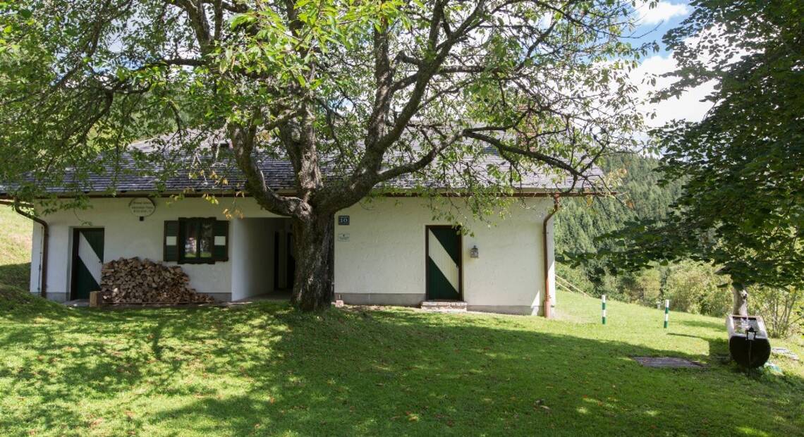 Almchalet Hofalm Pernegg