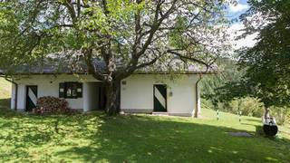 Almchalet Hofalm / Ferienwohnung / Naturpark