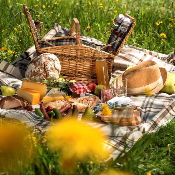 Frühlingsfrisches Picknick im Naturpark.