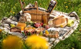 Picknick in der Löwenzahnwiese
