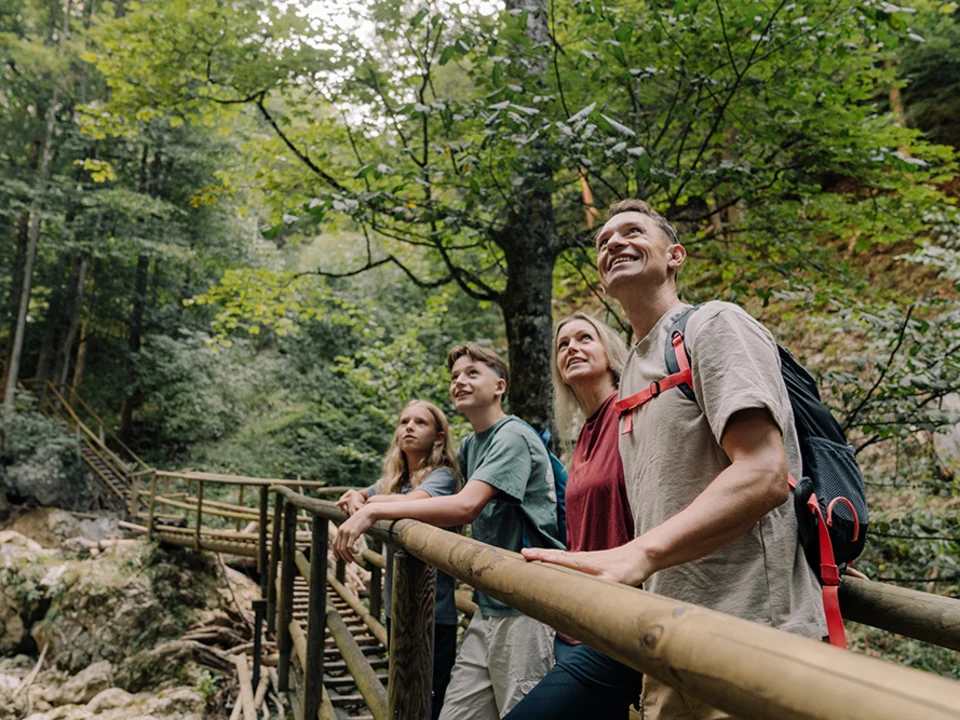 Eine Wanderung durch die Bärenschützklamm im Naturpark Almenland.