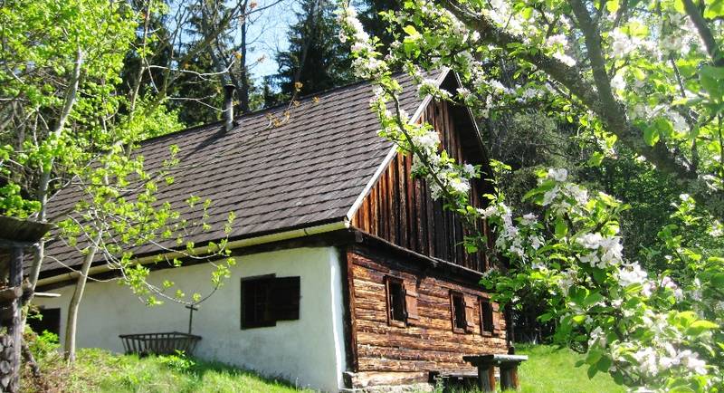 Hahnhütte Romantik Pernegg