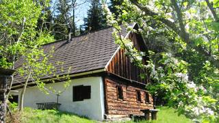 Romantik Hahnhütte / Ferienhaus / Naturpark