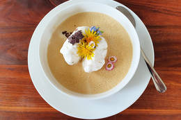 Löwenzahn Nockerl auf Vanillepudding