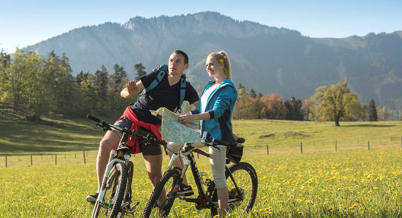 Cycling along flowering meadows