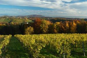 Naturpark Südsteiermark