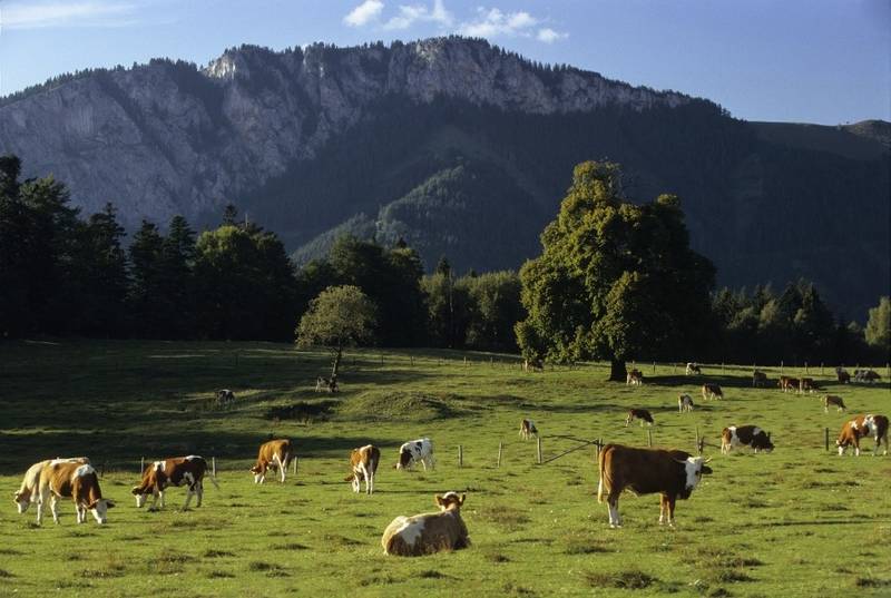 Hochplateau Nechnitz mit Roter Wand