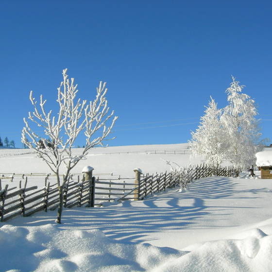 Winterlandschaft mit Bänderzaun