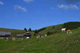 Stoakoglhütte auf der Sommeralm im Naturpark Almenland, (C) Rudi Grabner