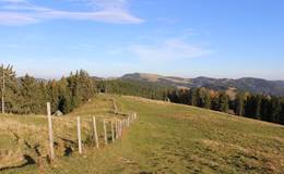 Blick in Richtung Sommeralm