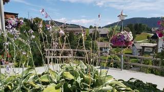 Ausflug Kathrein Picknick Wandern Ausflugsziel