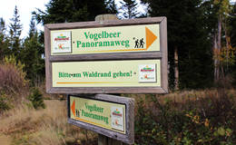 Wegweiser vom Vogelbeerweg