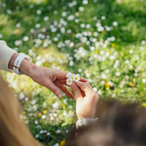 Frühling
