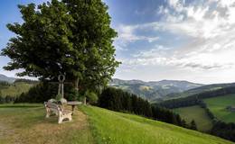 Wegkreuz Hochegger in der Gemeinde Gasen im Naturpark Almenland, © Oststeiermark Tourismus, Kurt Elmleitner