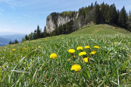 Rote Wand in the Almenland Nature Park