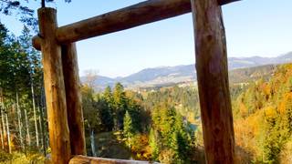 Montanlehrpfad / Arzberg / Wanderung