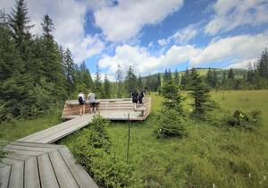Moorlehrpfad / Teichalm / Naturpark