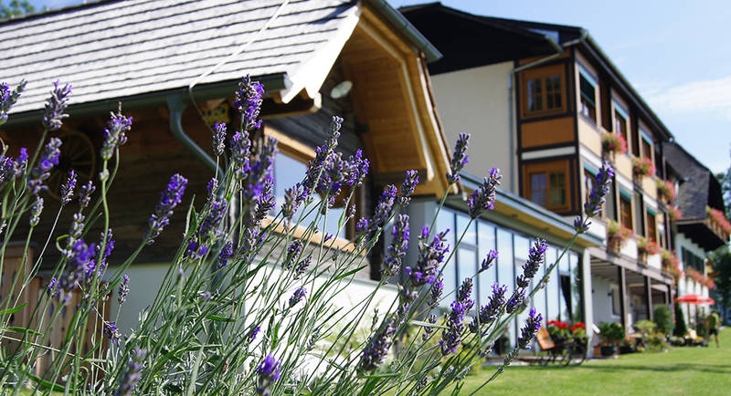 Landhotel Spreitzhofer