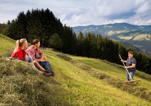 Wanderangebote im Naturpark in der Steiermark