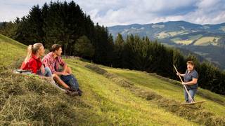 Wanderangebote im Naturpark in der Steiermark