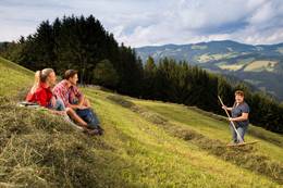 Wandern Heuernte