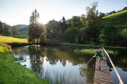 Fish pond in the Almenland