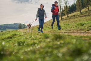 Wandern mit Hund