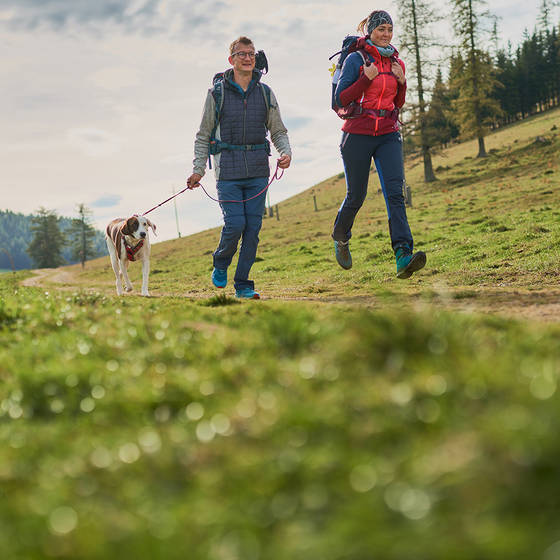 Wanderung mit dem Hund auf der Teichalm.