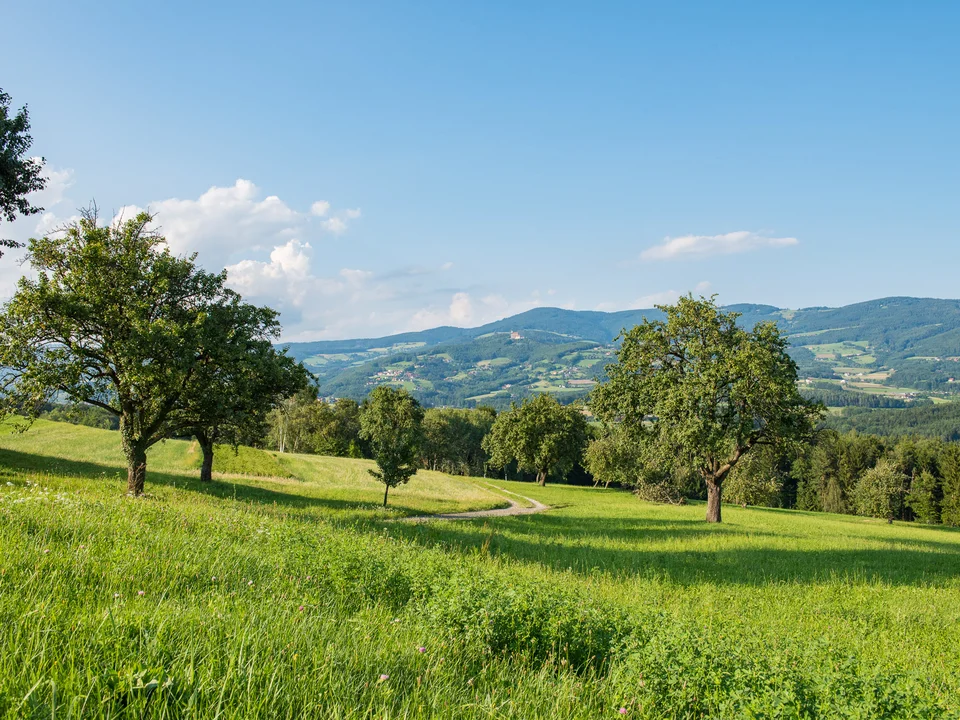 Landschaftsaufnahme aus dem Naturpark Pöllauer Tal in der Steiermark.