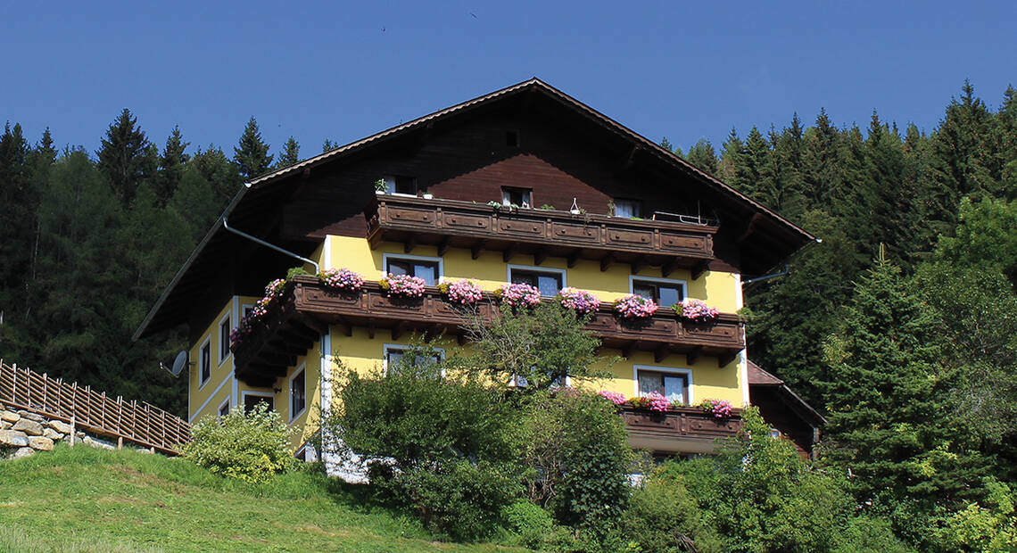 Urlaub beim Schachner am Fladnitzberg