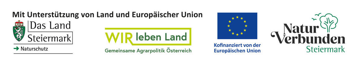 Förderleiste vom Land Steiermark Förderleiste vom Land Steiermark