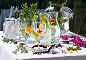 Essen und Trinken für Großgruppen im Naturpark