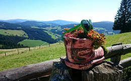 Die Sommeralmhütte