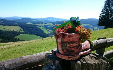 Die Sommeralmhütte