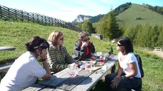 Tyrnaueralm Hütte Gastronomie im Naturpark