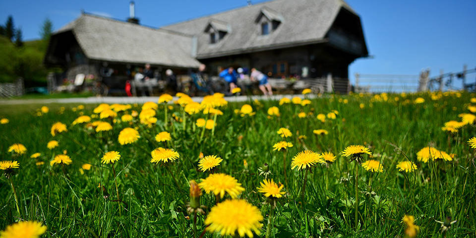 Unterkünfte / Urlaub / Naturpark