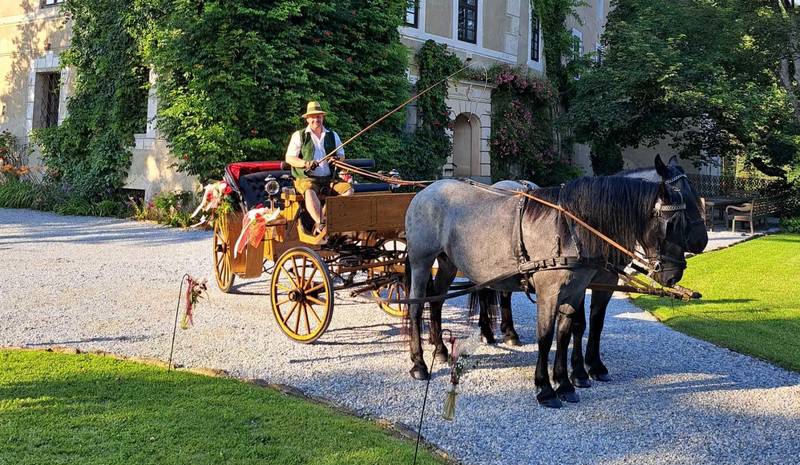 Kutschenfahrten mit der Familie Friedl im Naturpark Almenland
