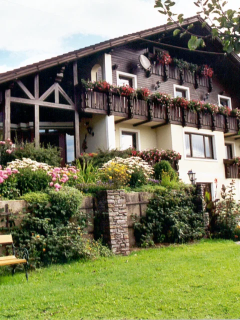 Auer