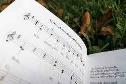 Liedtext aus dem Almenland Liederbuch