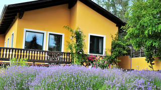 Sulamith Ferienhaus / Unterkunft / Naturpark