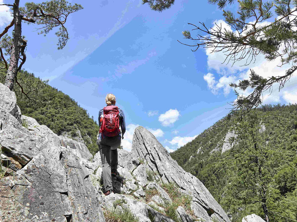 Jägersteig Wanderung Foto WEGES