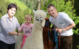 Familie Stelzer mit den Alpakas