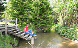 The Mixnitz-river on the Teichalm