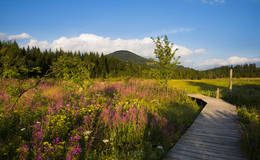 Teichalm-Moor